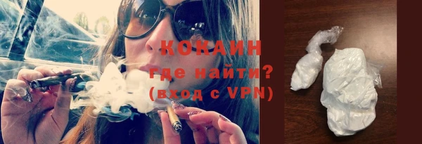 прущие грибы Абинск